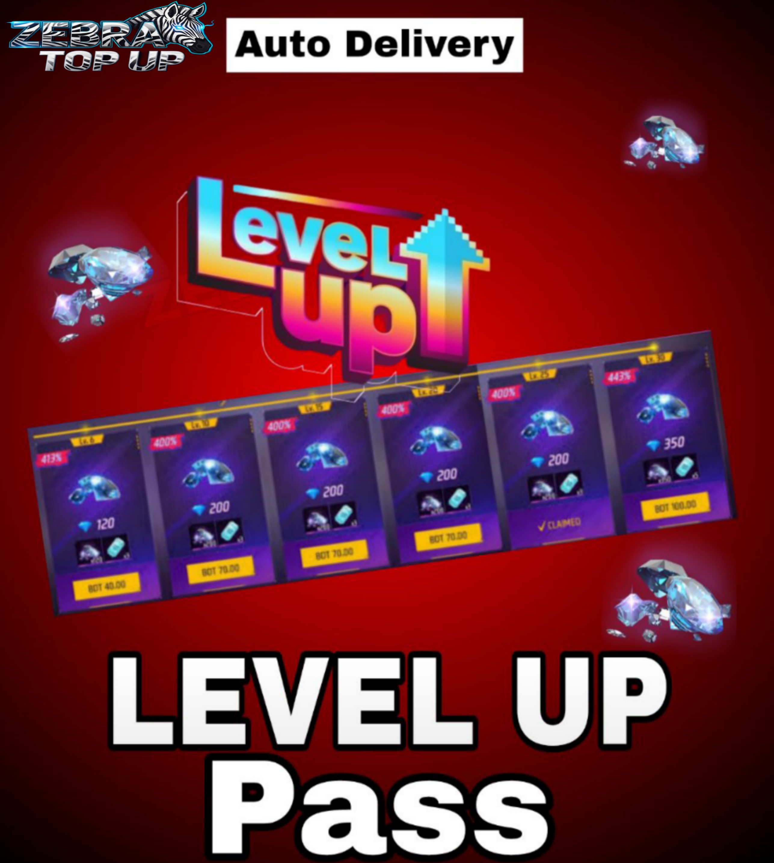 LEVEL UP PASS